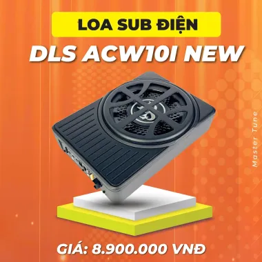 DLS ACW10I
