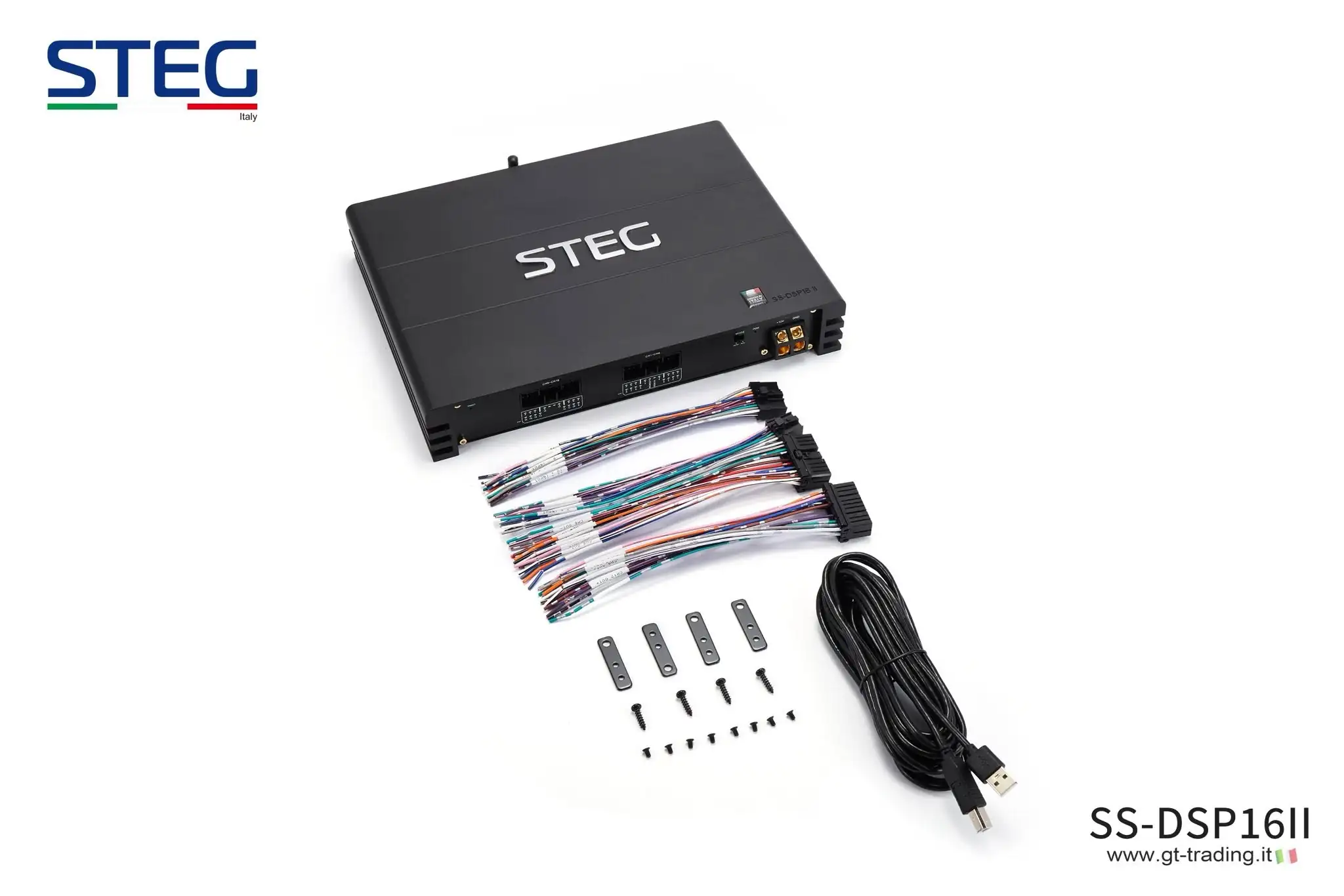 STEG SS-DSP16II